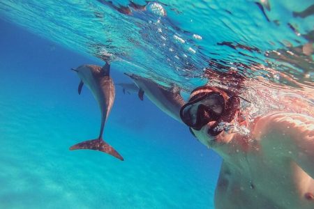 Snorkeling na Excursão ao Recife Satayah Dolphin saindo de Marsa Alam