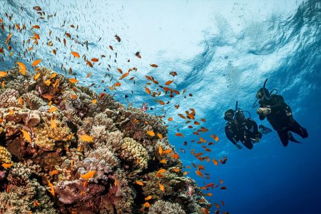 Viagem de Mergulho em Marsa Alam