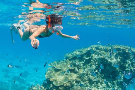 Tour de Mergulho com Snorkel na Praia de Abu Dabbab saindo de Marsa Alam