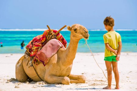 Tour Privado pela Cidade em Hurghada