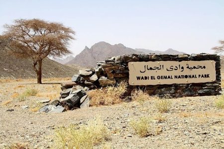 Passeio de Safári no Deserto do Parque Nacional Wadi El Gemal